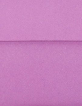 Fuchsia Blooms Stationery Set (Boxed Stationery)